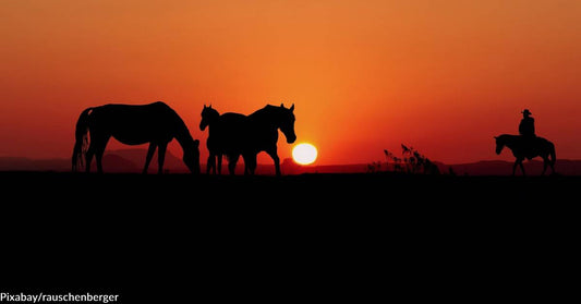 Pony Express Rider Shares His Experiences on the Trail in Fascinating Account of Stepping Back into the Old West