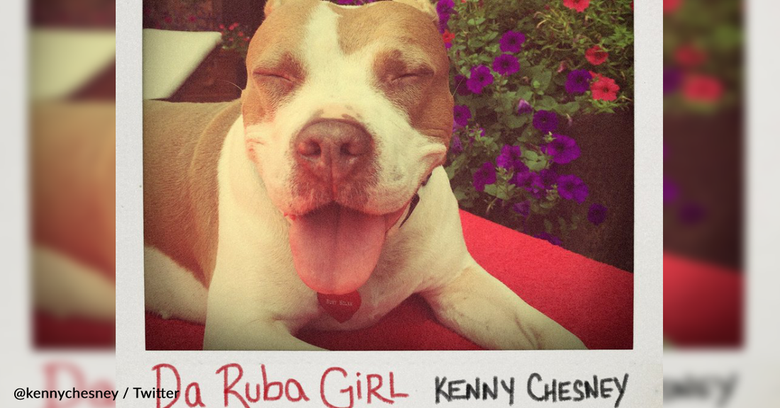 Kenny Chesney Dedicates Song To His Late Rescue Dog, Ruby