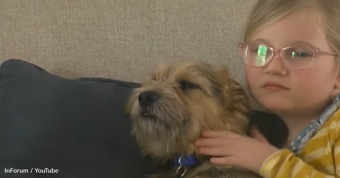 Kids In Tears After Saying Goodbye To Rescue Dog Get Sweet Christmas Surprise