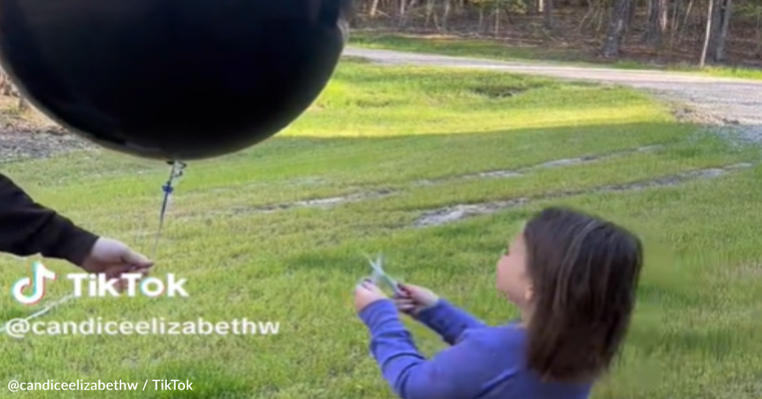 4-Year-Old Epically Ruins Her Parent's Gender Reveal In Viral Video
