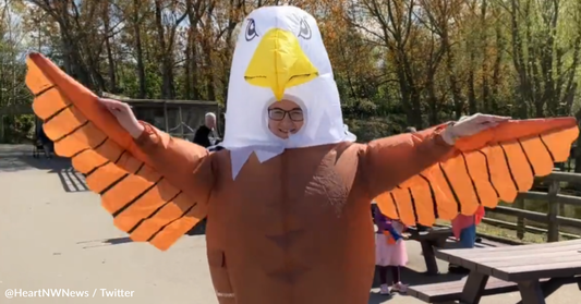 UK Zoo Seeks To Recruit More Human "Seagull Deterrents"