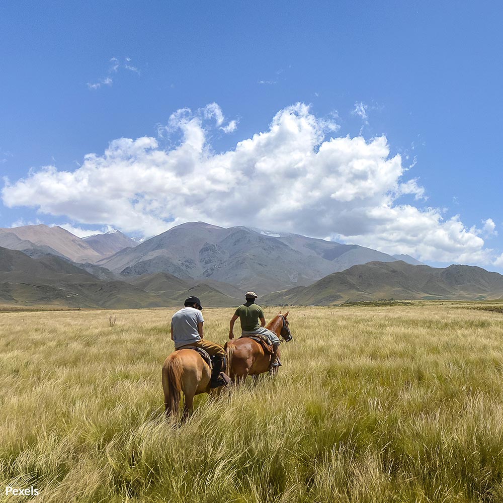 Pledge to Preserve Critical Prairie Habitat