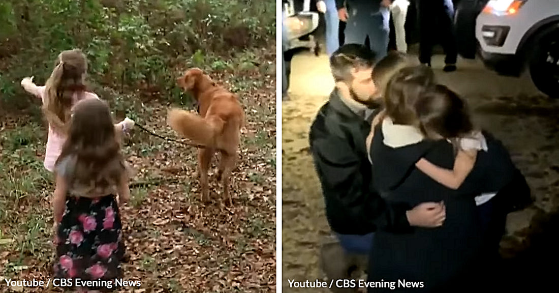 Sisters Lost In The Woods Survived With Their Loyal Dog Fiercely Protecting Them For Hours