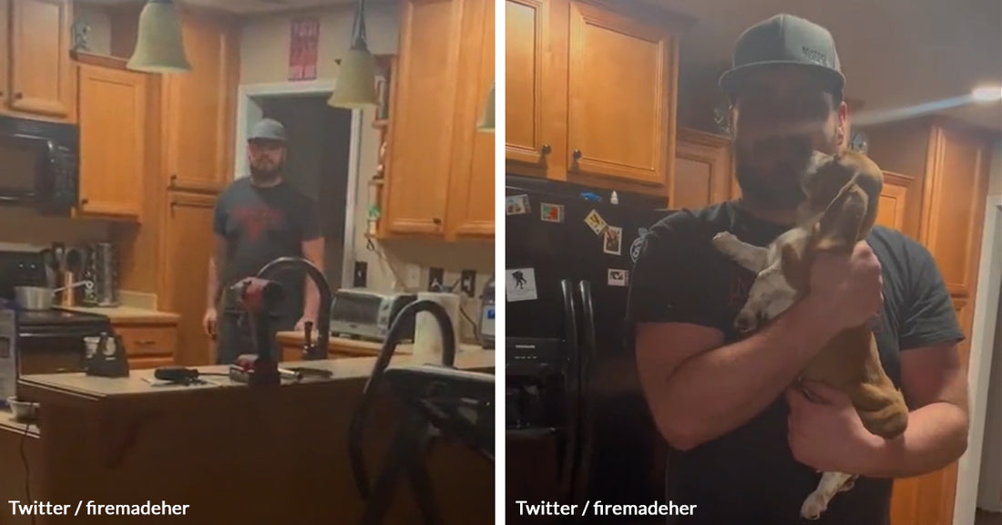 Adorable Video Of A Woman Surprising Her BF With A Puppy Ends With An Unexpected Twist