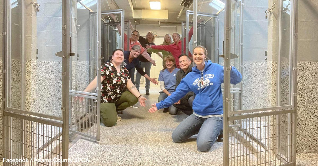 Historic Milestone — Pennsylvania Animal Shelter Finds All Kennels Empty