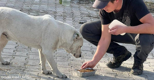 Thank You for Helping Us Feed People and Animals Displaced by the Earthquakes in Türkiye