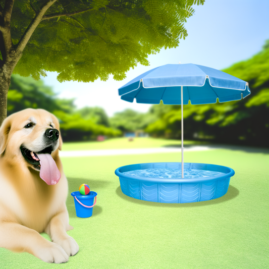 Golden retriever resting in shade near kiddie pool