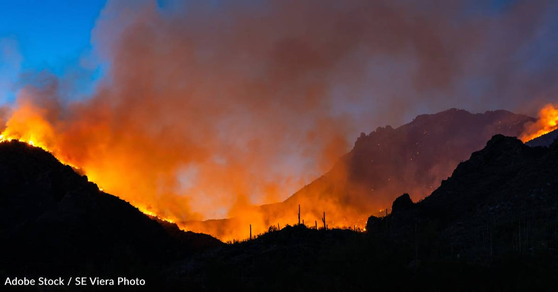 Wildfires and Agriculture Produce Pollutants with Biggest Impact on Dementia Risk, Study Finds