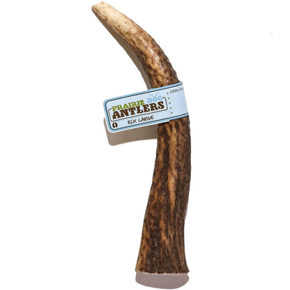 Prarie Dog Treats Elk Antler