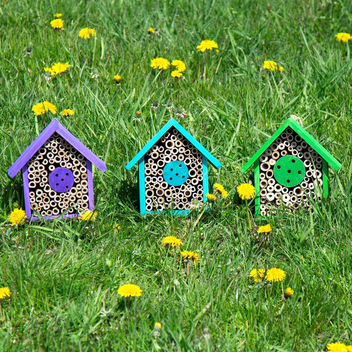 Wooden Mason Bee House