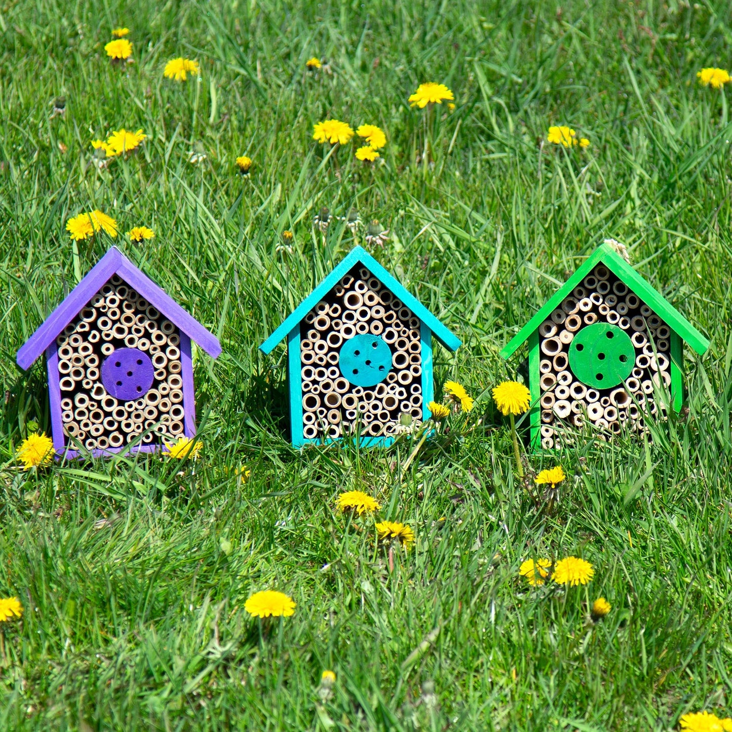 Wooden Mason Bee House