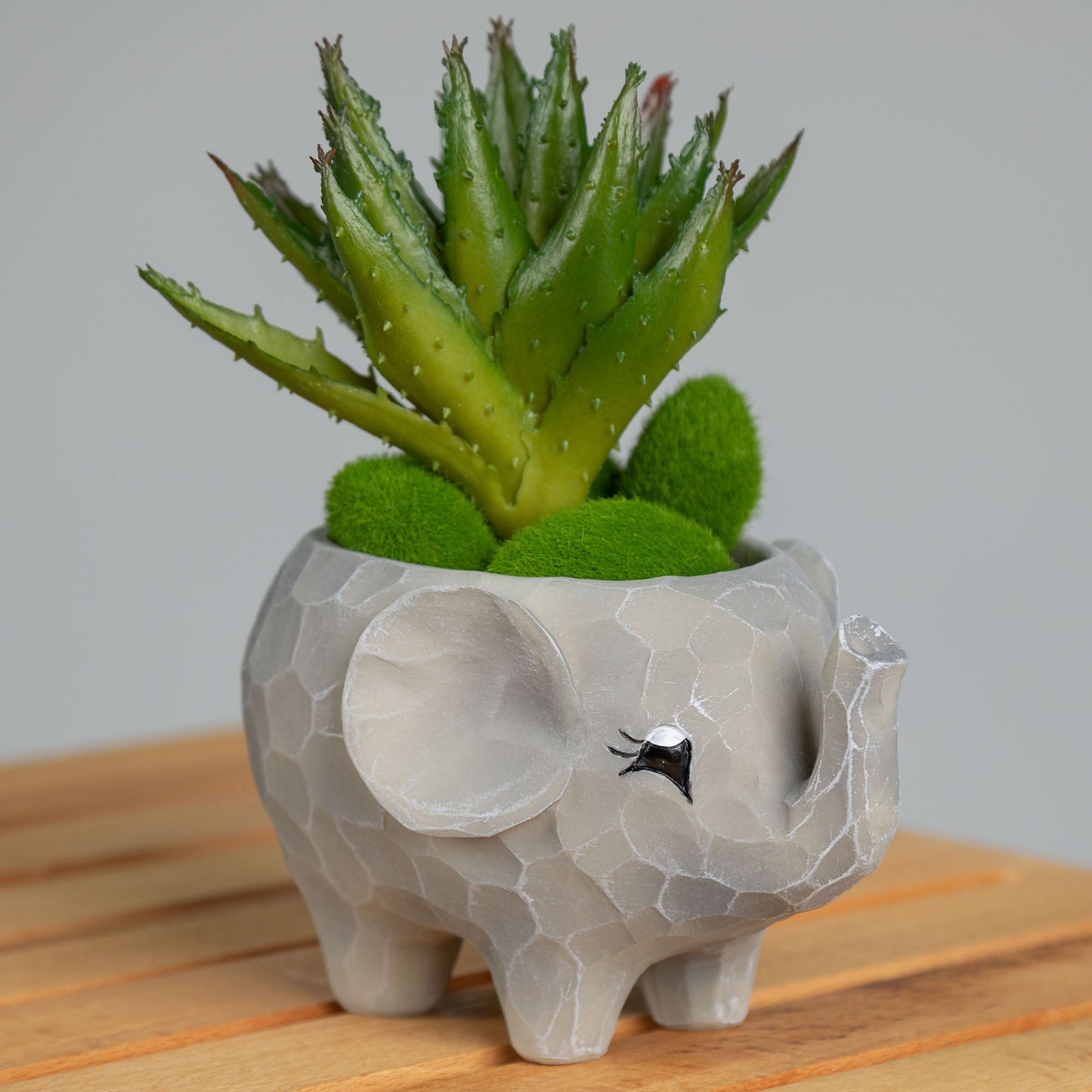 Wild Kingdom Planter