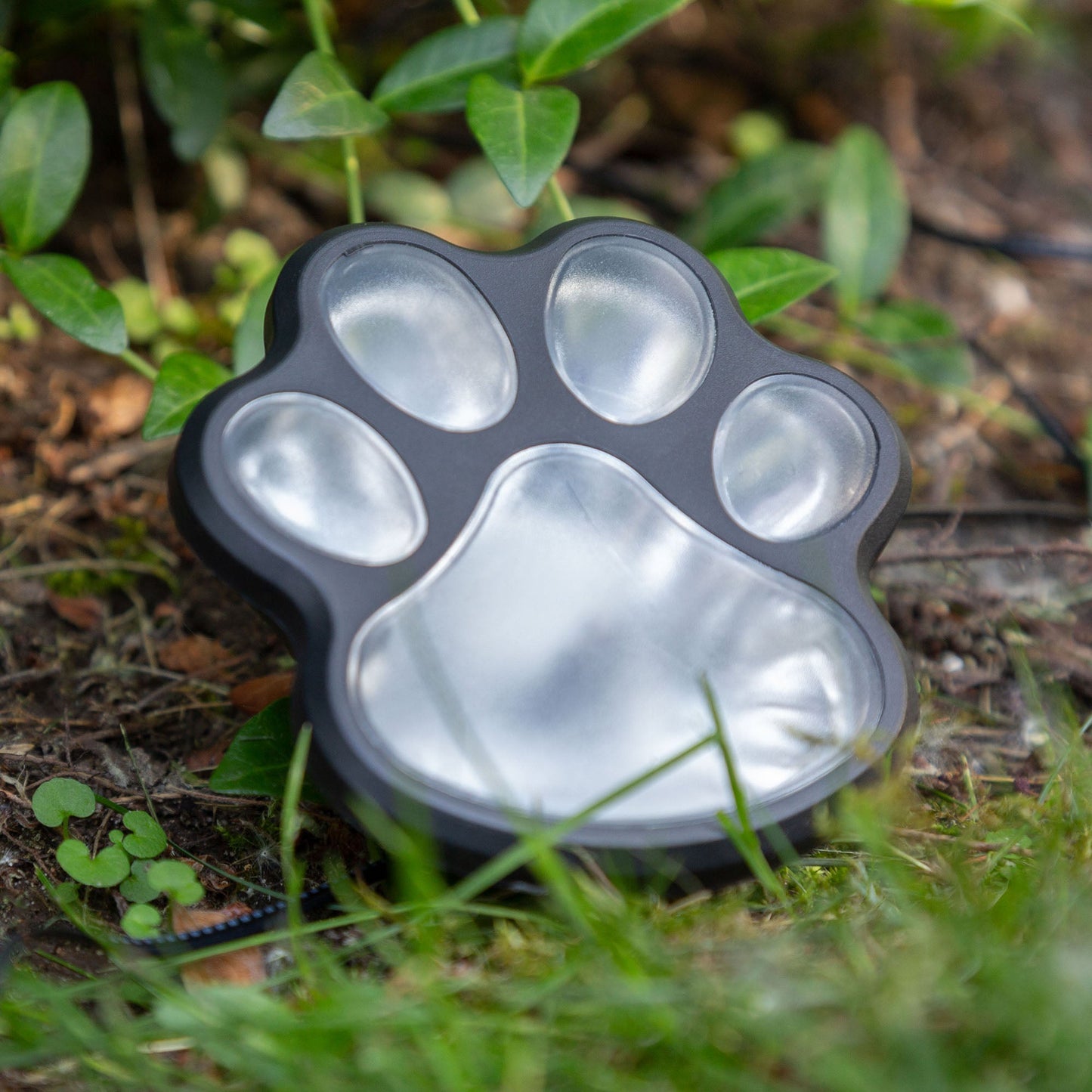 Paw Print Solar Ground Lights Set