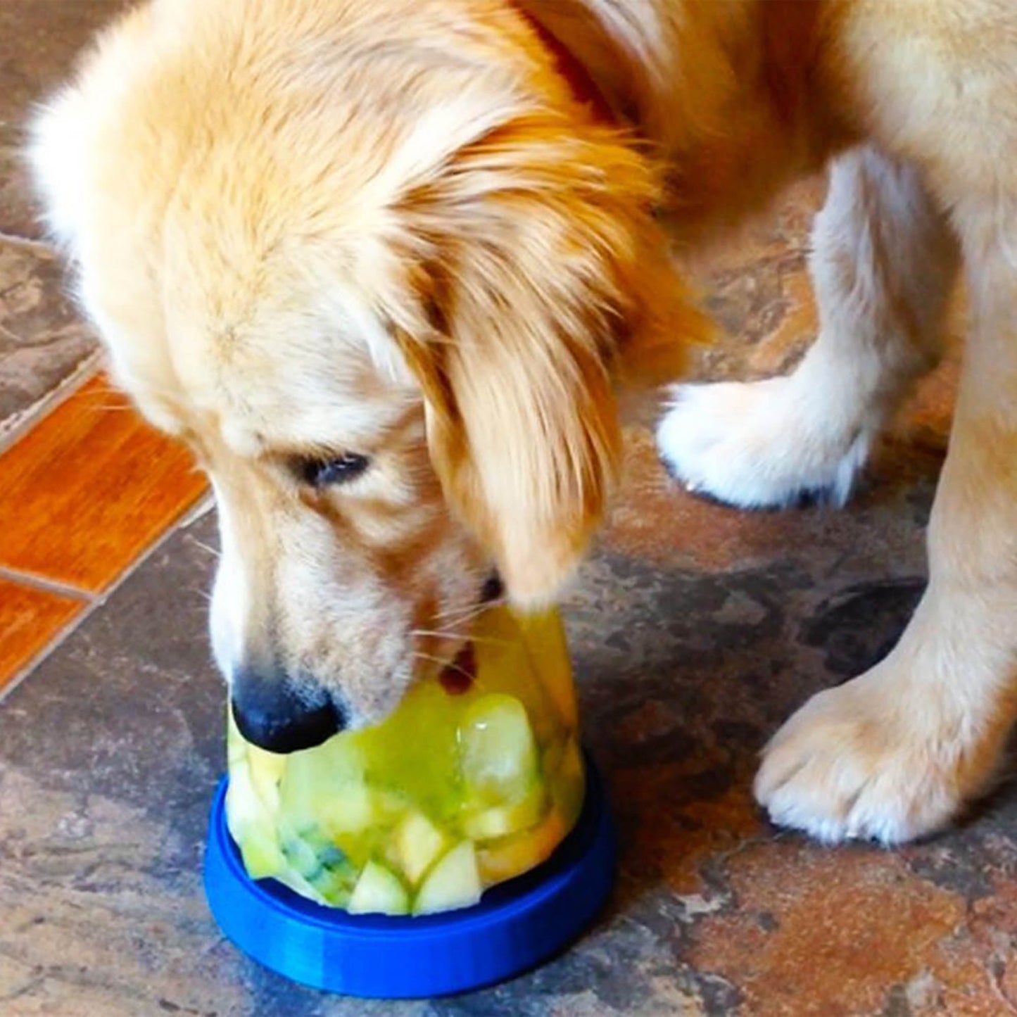 Doggie Cone DIY Frozen Dog Treat