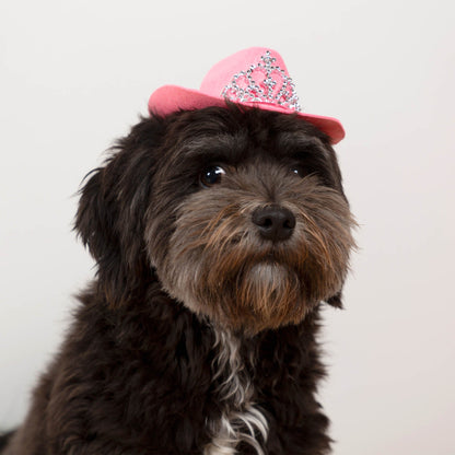 Perfectly Precious Pet Costume