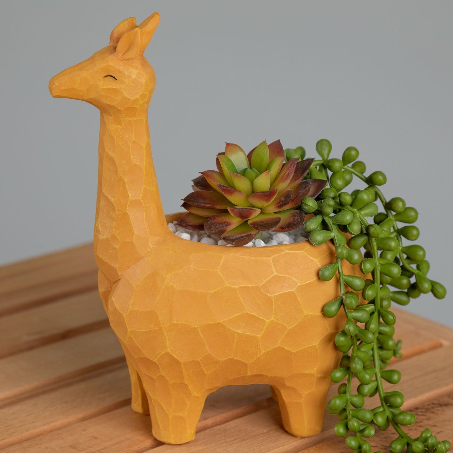 Wild Kingdom Planter