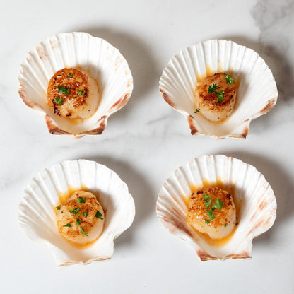 Nantucket Seafood Natural Canape Shells - Set of 4