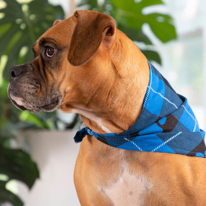 Plaid Paws Pet Bandana