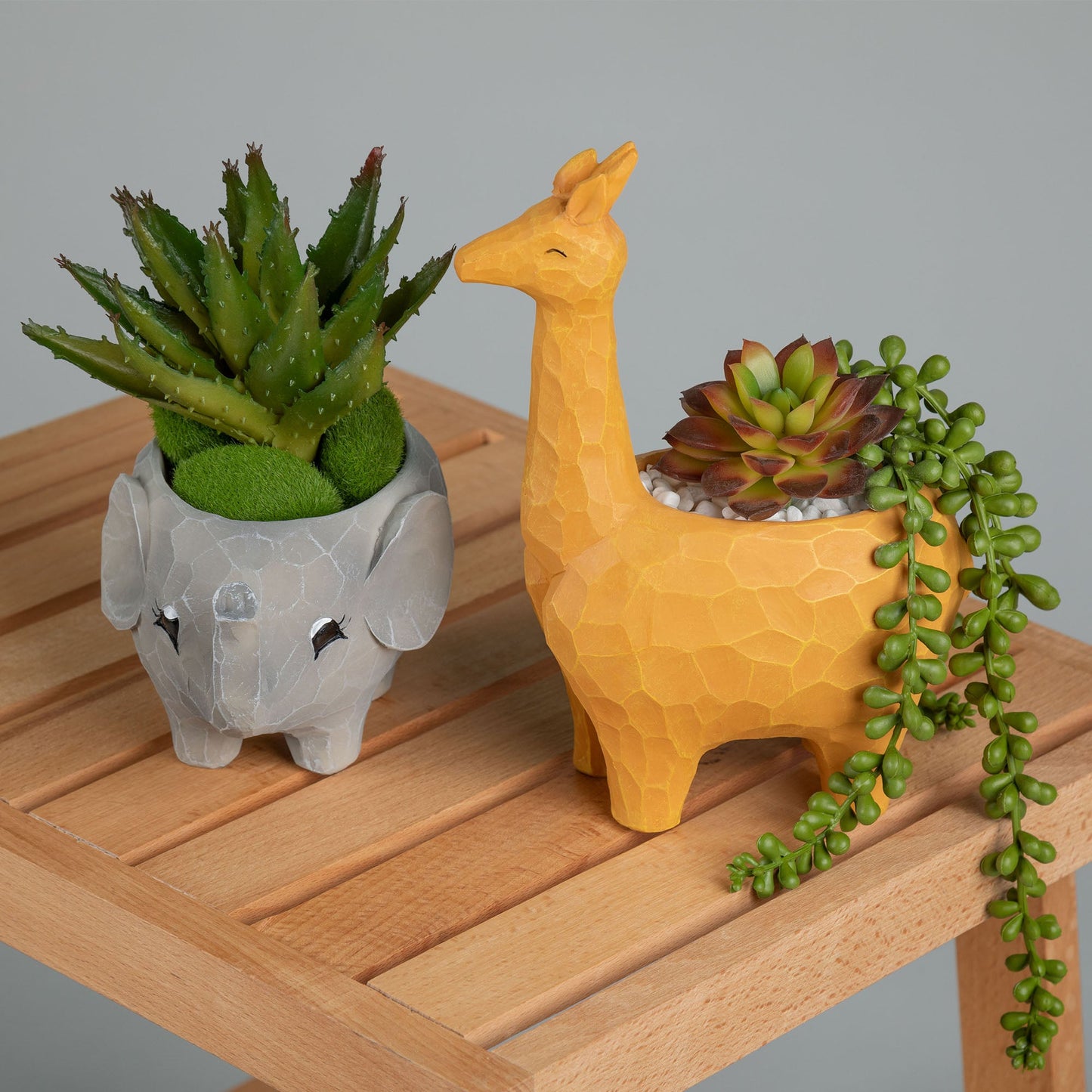 Wild Kingdom Planter