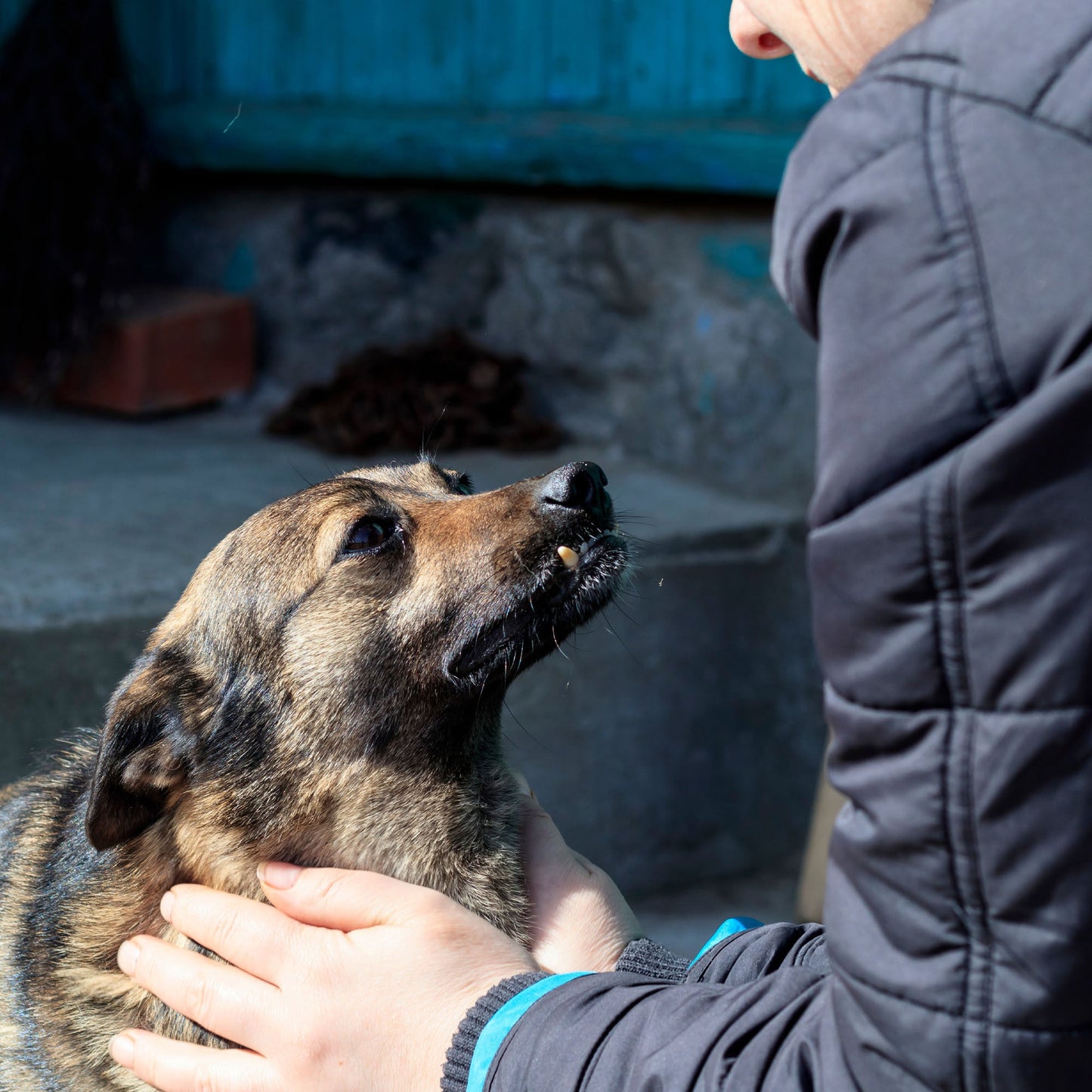 Nourishment Pack to Help Rescue Pets