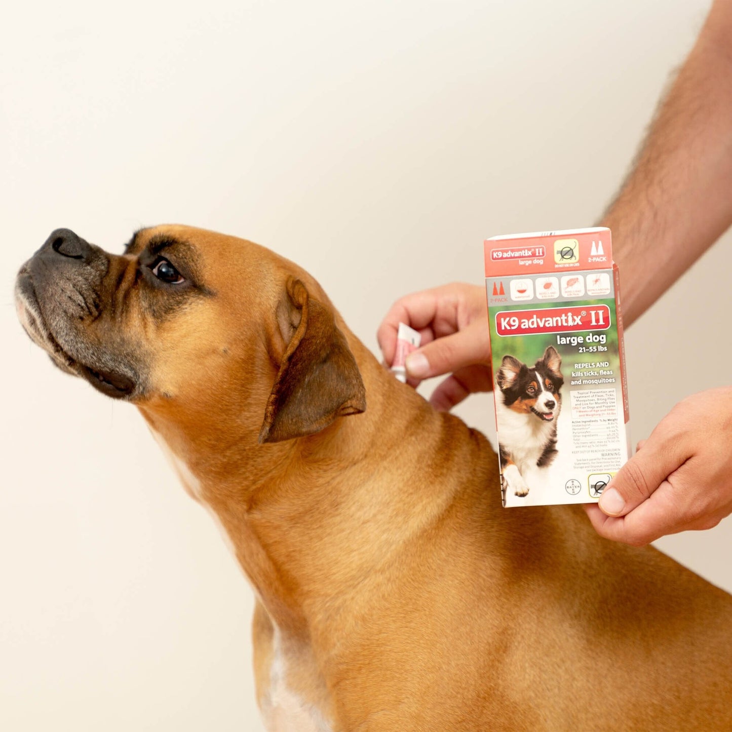 Help Keep Dogs Safe From Fleas & Ticks