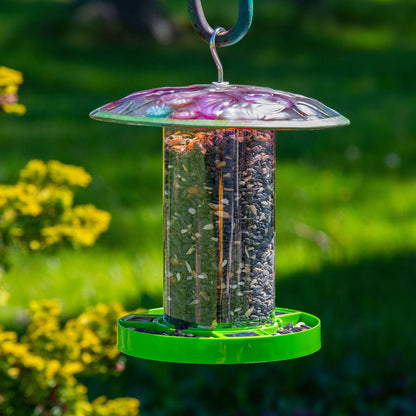 Bright & Bold Solar Bird Feeder