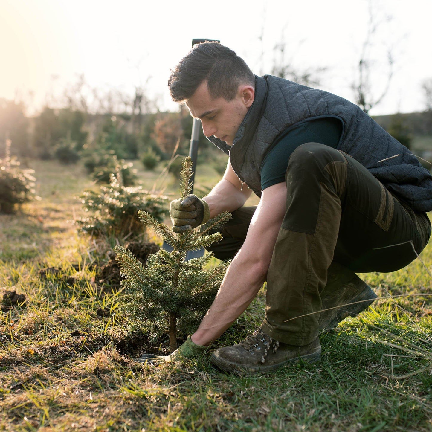 Help Plant Native Trees & Enrich Ecosystems