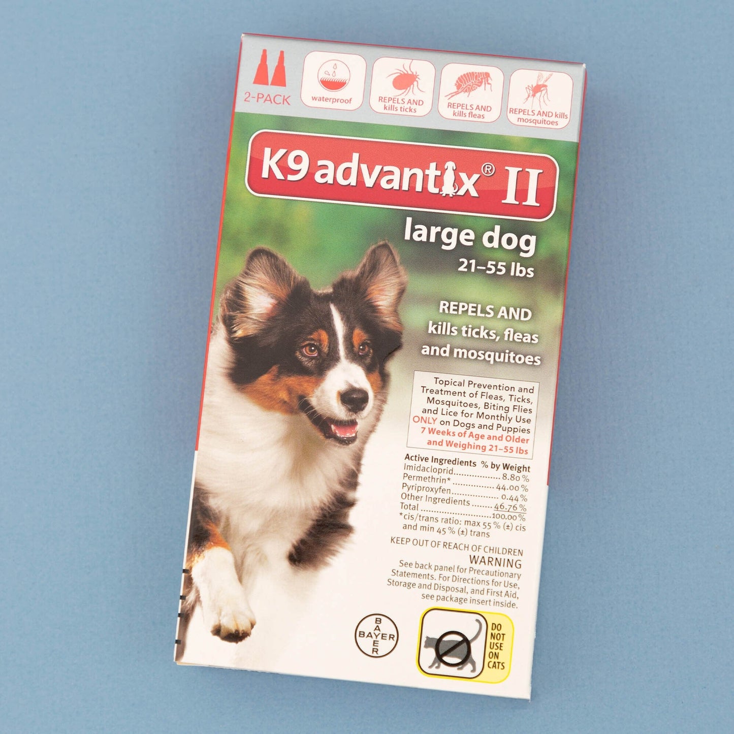 Help Keep Dogs Safe From Fleas & Ticks