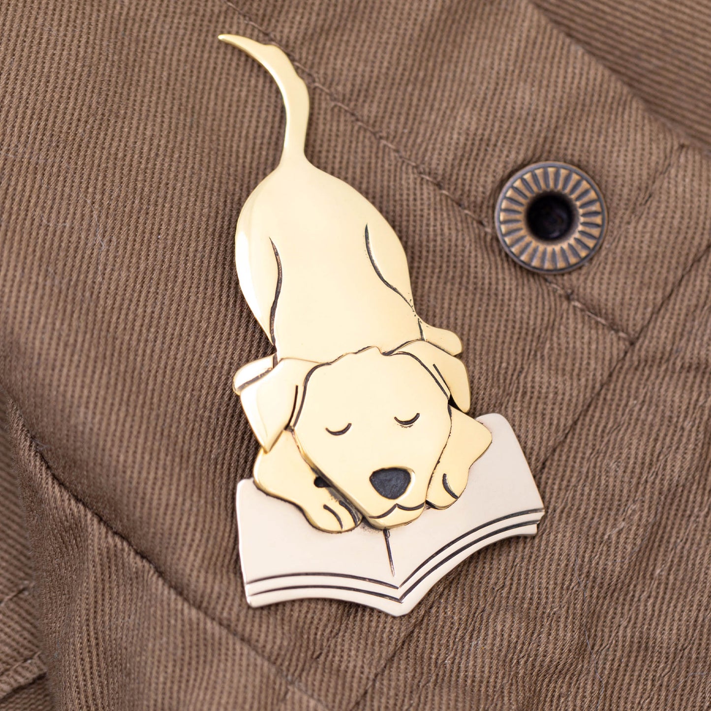 Pet Lover Book Club Pin