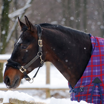 Provide Essential Supplies To Horses in Need