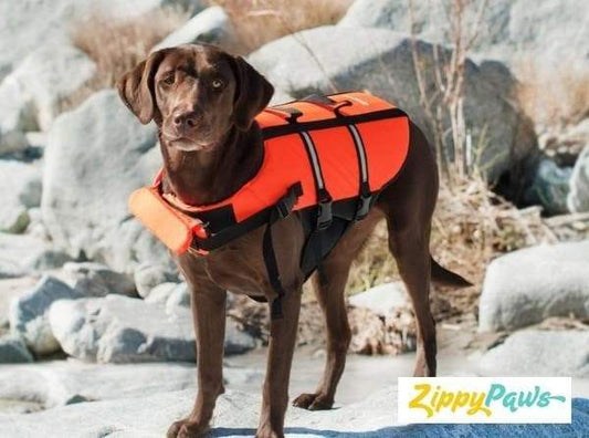 Zippy Paws Life Jacket