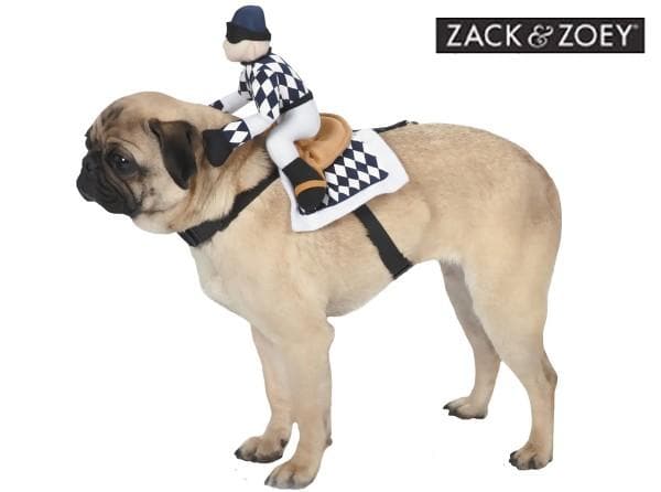 Headless Horseman Saddle Costume by Zack & Zoey