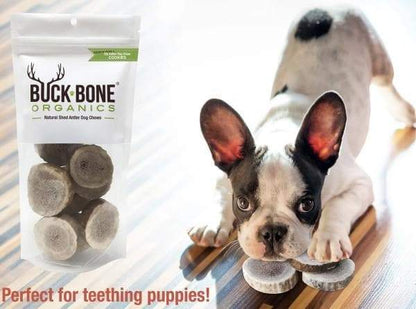 Elk Antler Round Cookie Chews