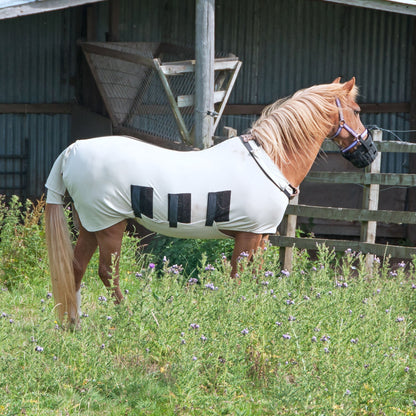 Provide Essential Supplies To Horses in Need