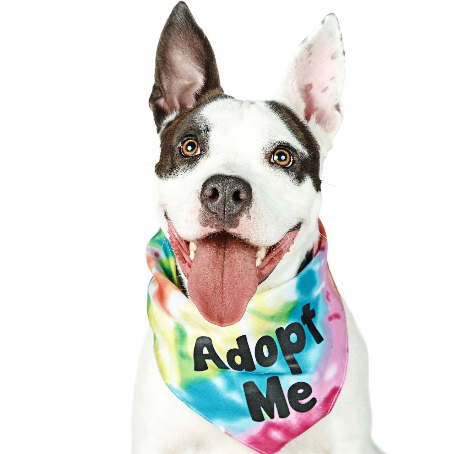 Encourage Adoption By Sending Bandanas & Vests to Furry Friends