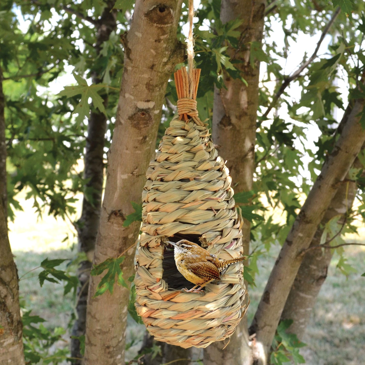 Roosting Pocket Birdhouse