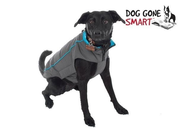 Sleek 8" Trailblazer Jacket for Dogs