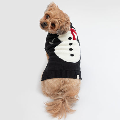 Cozy Christmas Pet Sweater