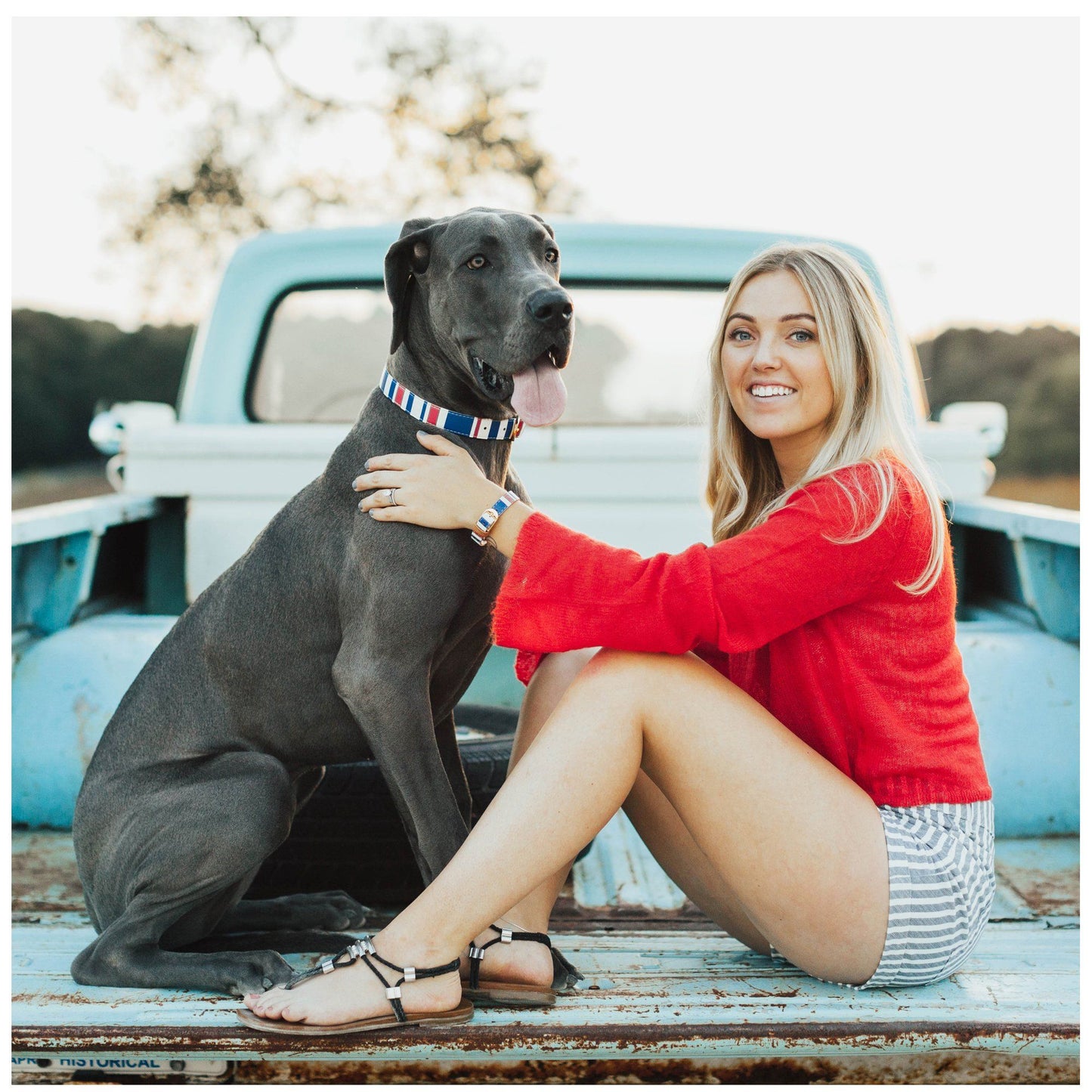 Nautical Pup Friendship Collar & Bracelet Set