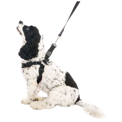 Gooby&reg; Escape Free Dog Sport Harness