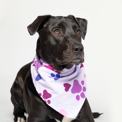 Loving Paws Flannel Pet Bandana