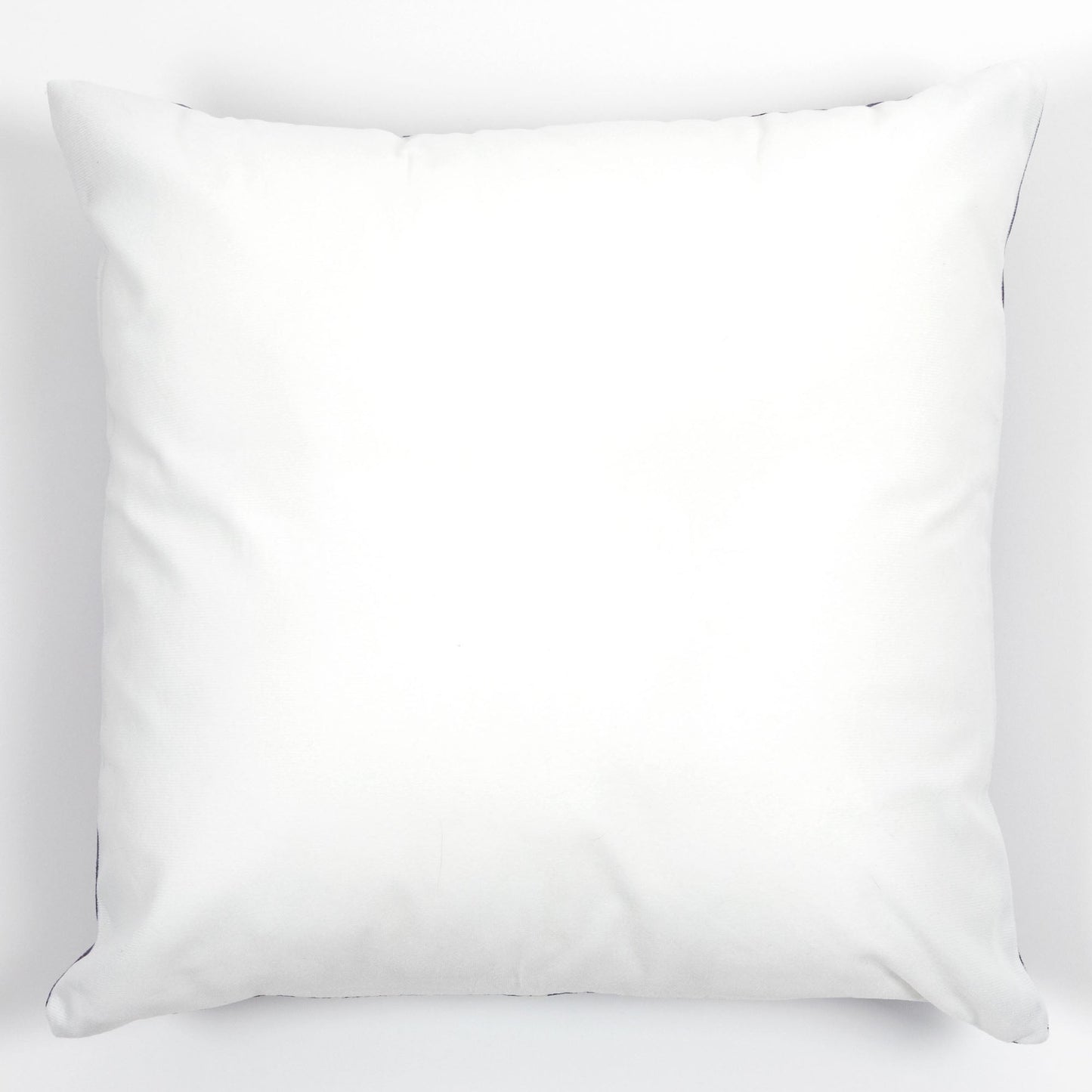 Art Print Plush Accent Pillow Cover