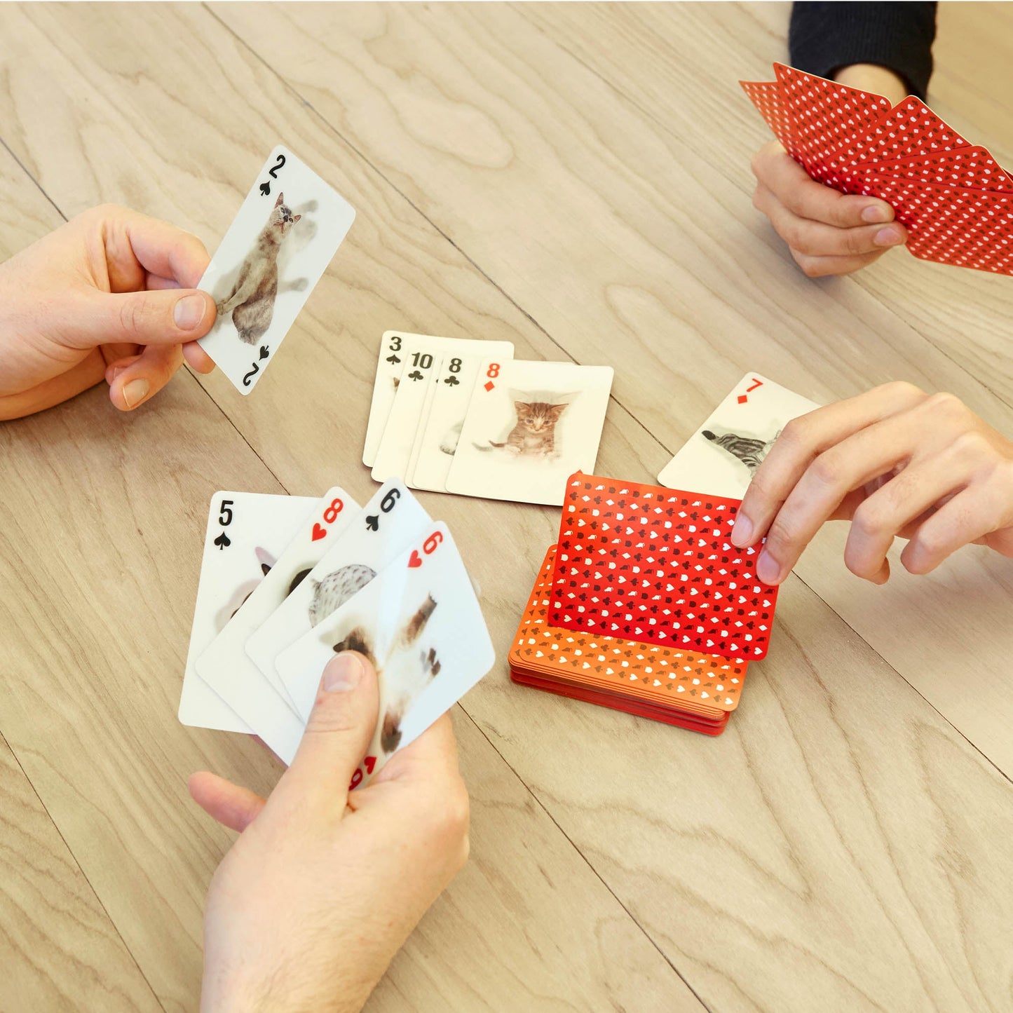 3D Pet Playing Cards