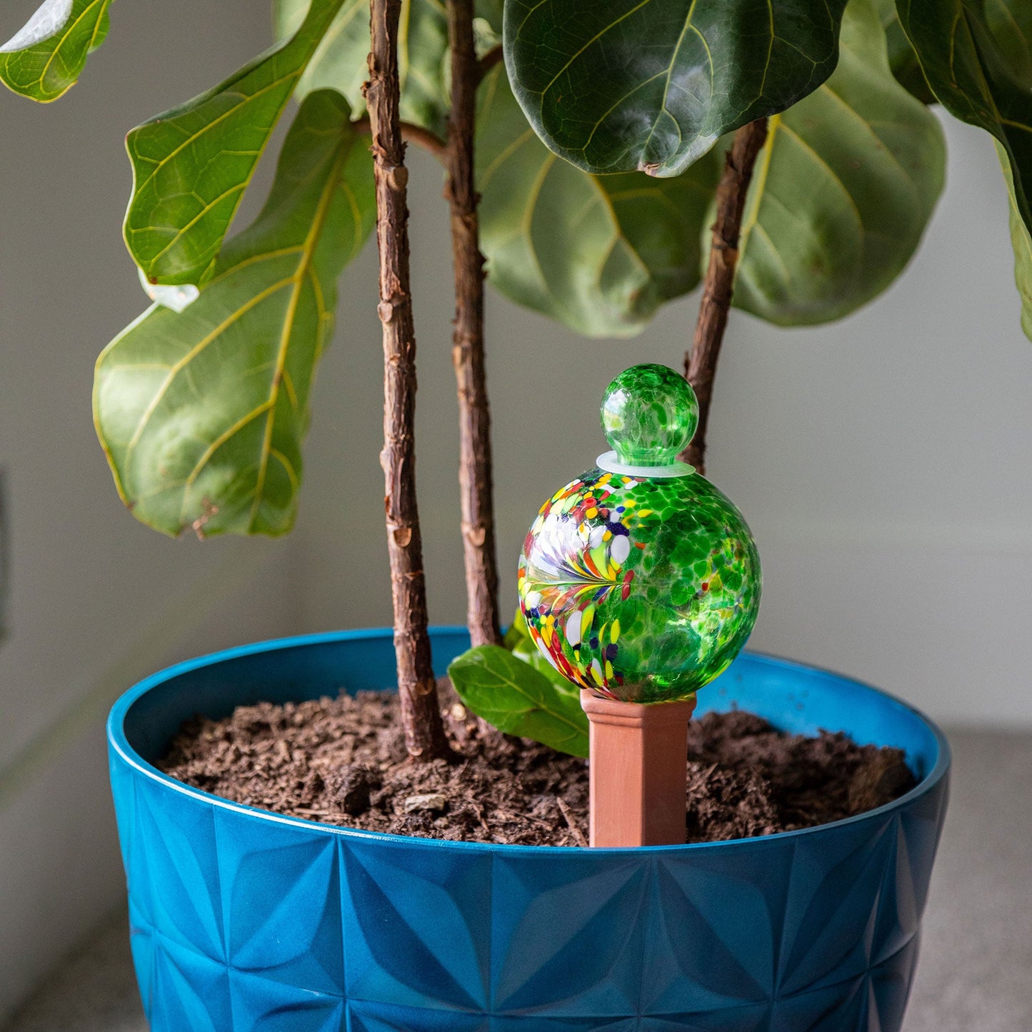 Glass Plant Watering Globe