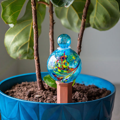 Glass Plant Watering Globe