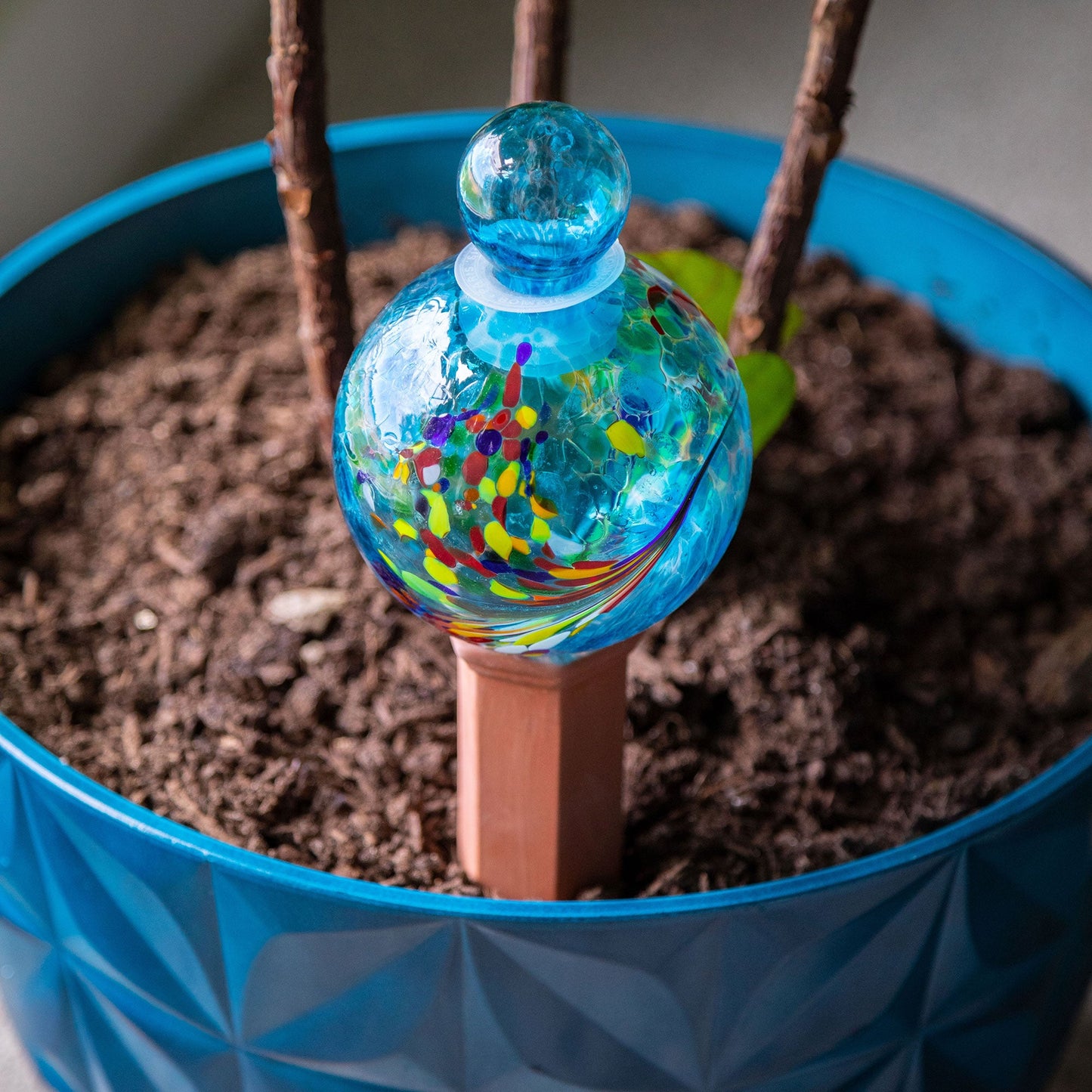 Glass Plant Watering Globe