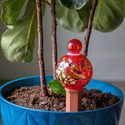 Glass Plant Watering Globe