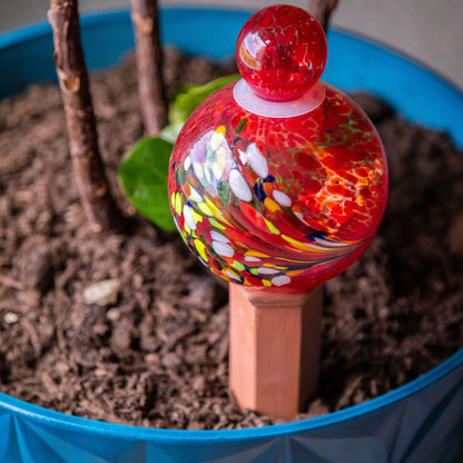 Glass Plant Watering Globe