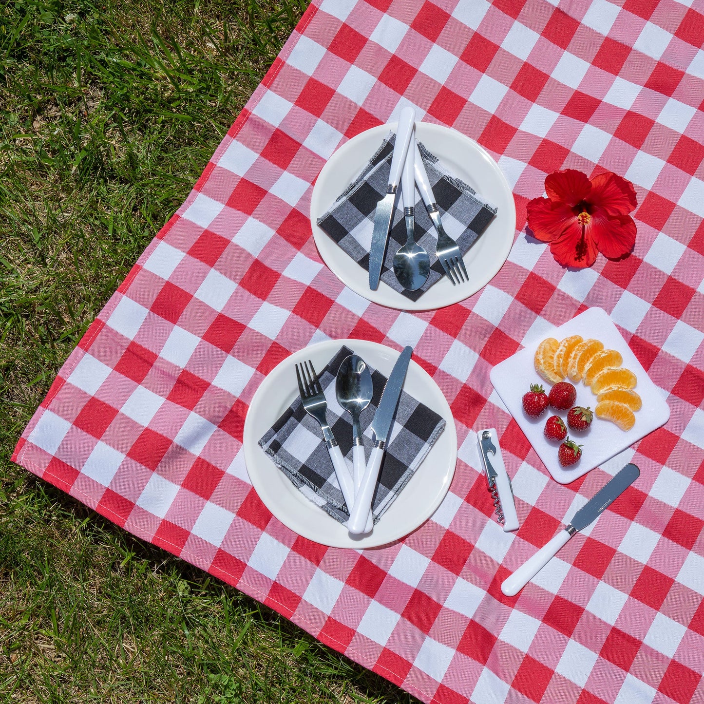 Paw Print Picnic Set Bag