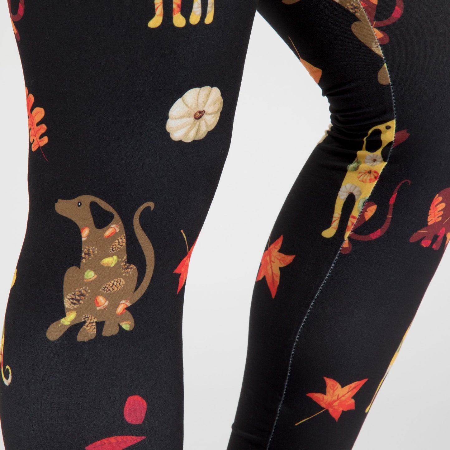 Pawsitively Comfy Harvest Pets Leggings